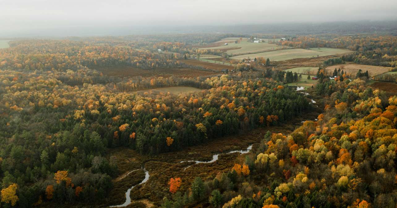 Arial view of the race city.