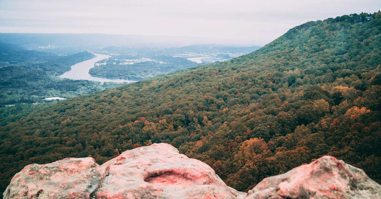 Arial view of the race city.