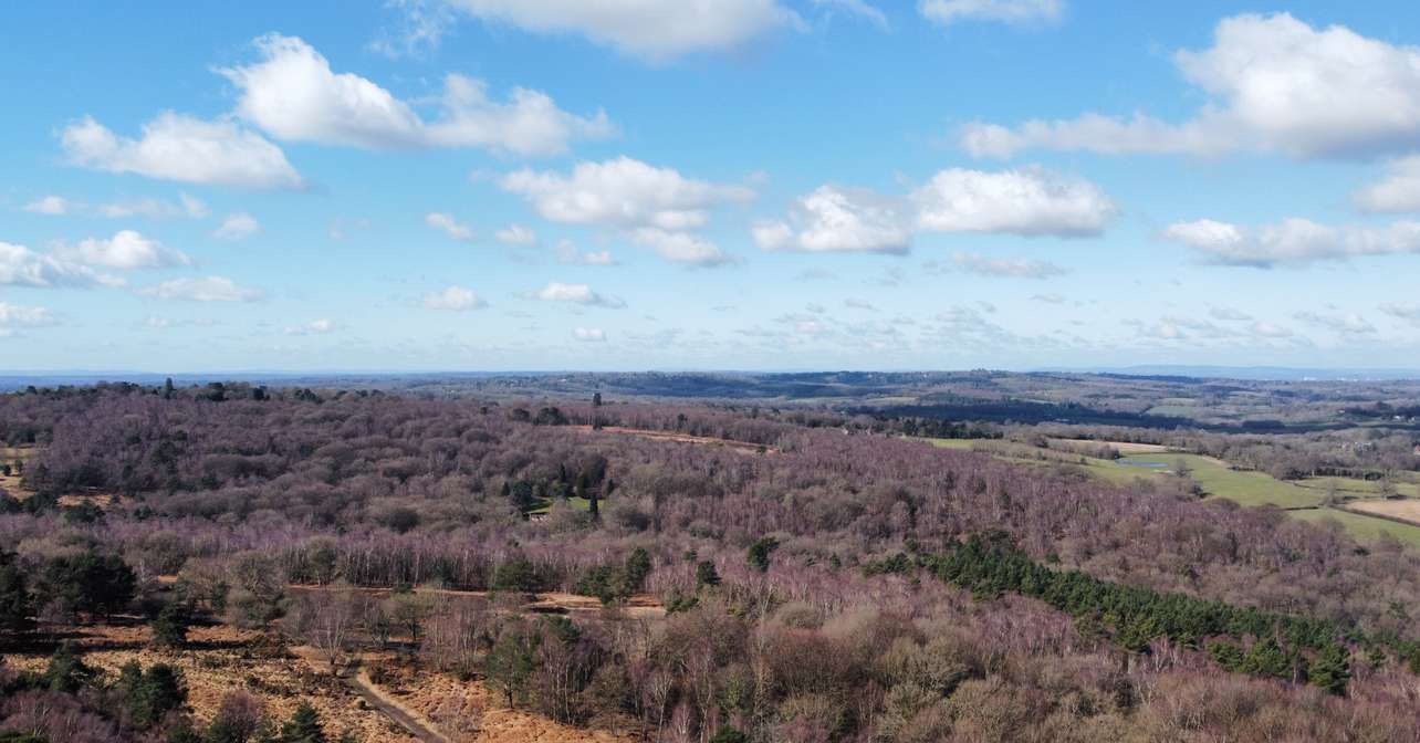 Arial view of the race city.