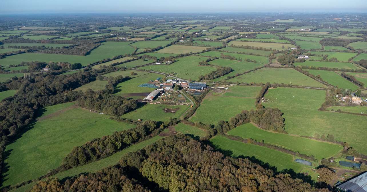 Arial view of the race city.